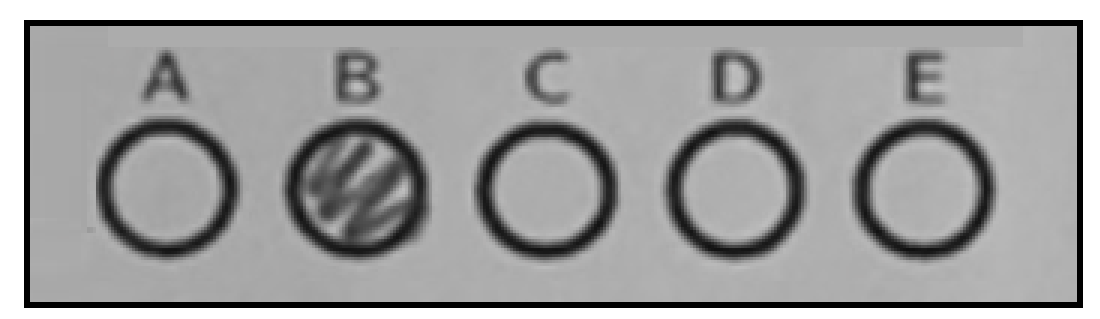 C answer